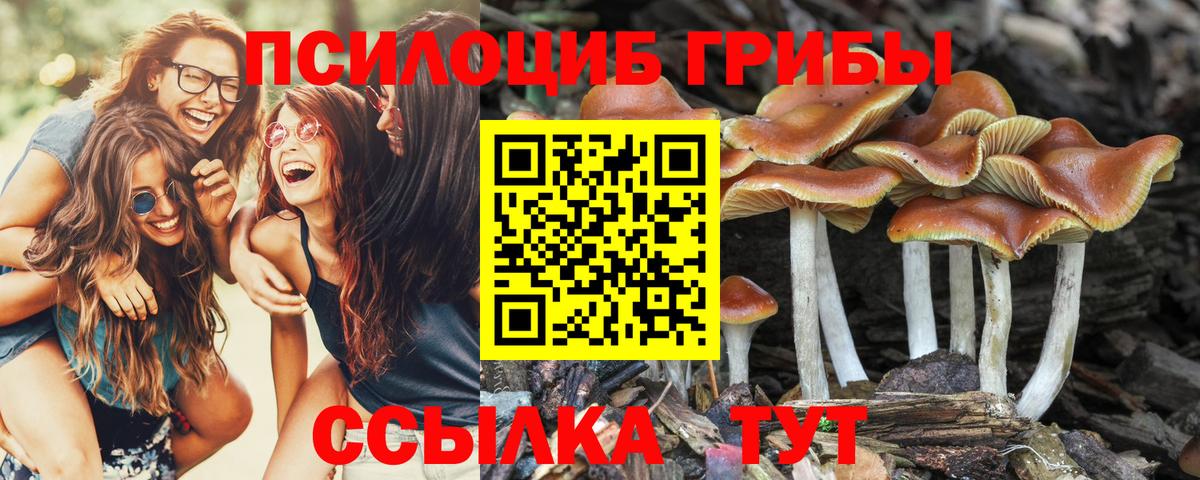Псилоцибиновые грибы прущие грибы  Галлюциногенные грибы ЛСД  купить наркотики цена  Вход с VPN  Знаменск 